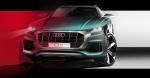 Audi Q8 50 TDI Quattro S-Line 2018 года (WW)